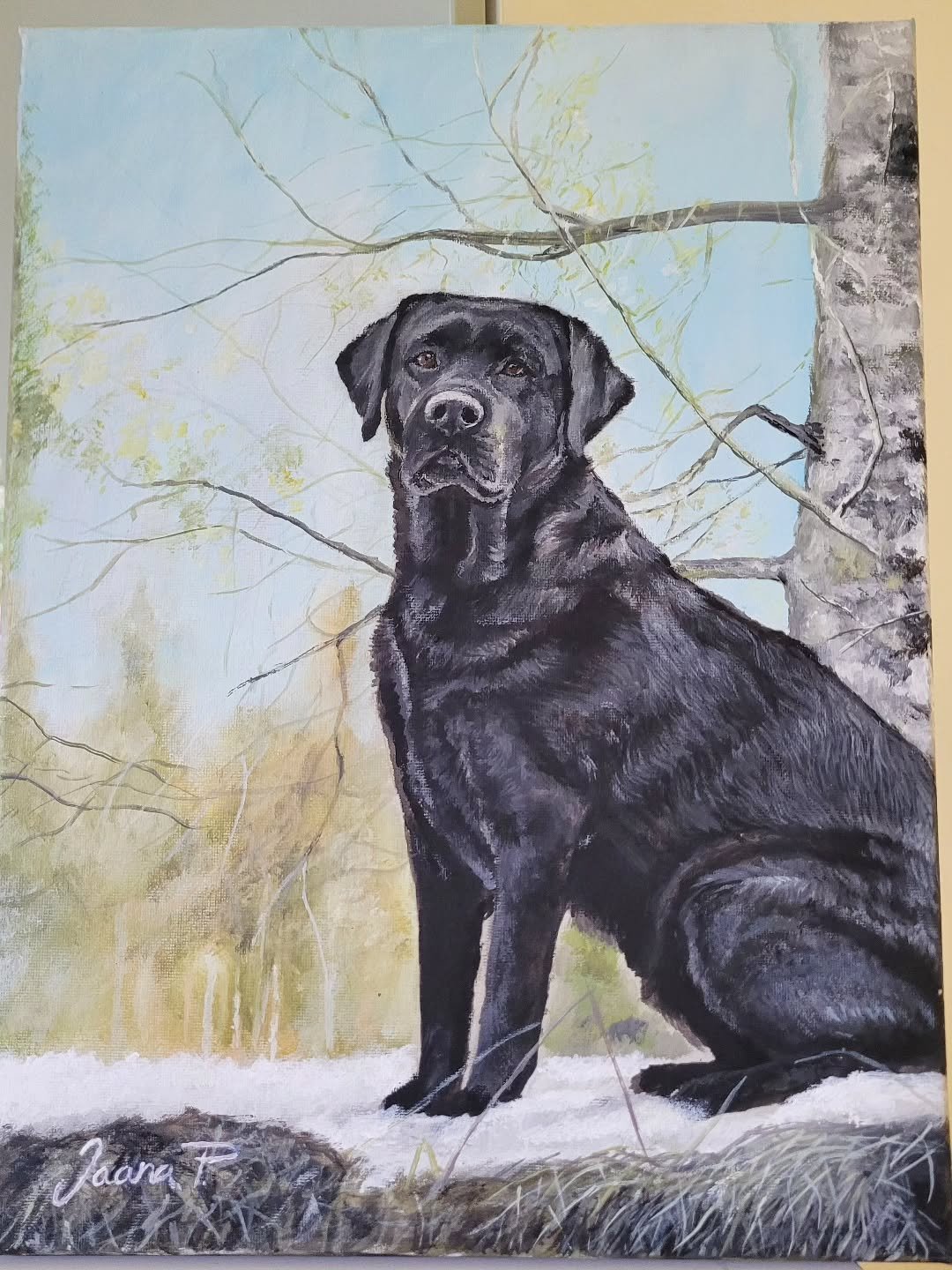 Maalauksessa Helmi-koira Kiviojalta ❤️ 
Helmin aika oli siirty&auml; elokuussa pilven reunalle 💔 

Mestarimaalauksen teki valokuvan perusteella taiteilija @naaja.design ❤️
 
Helmi oli koko Kiviojan Helmen lyhyen historian ajan l&auml;sn&auml; ja my&