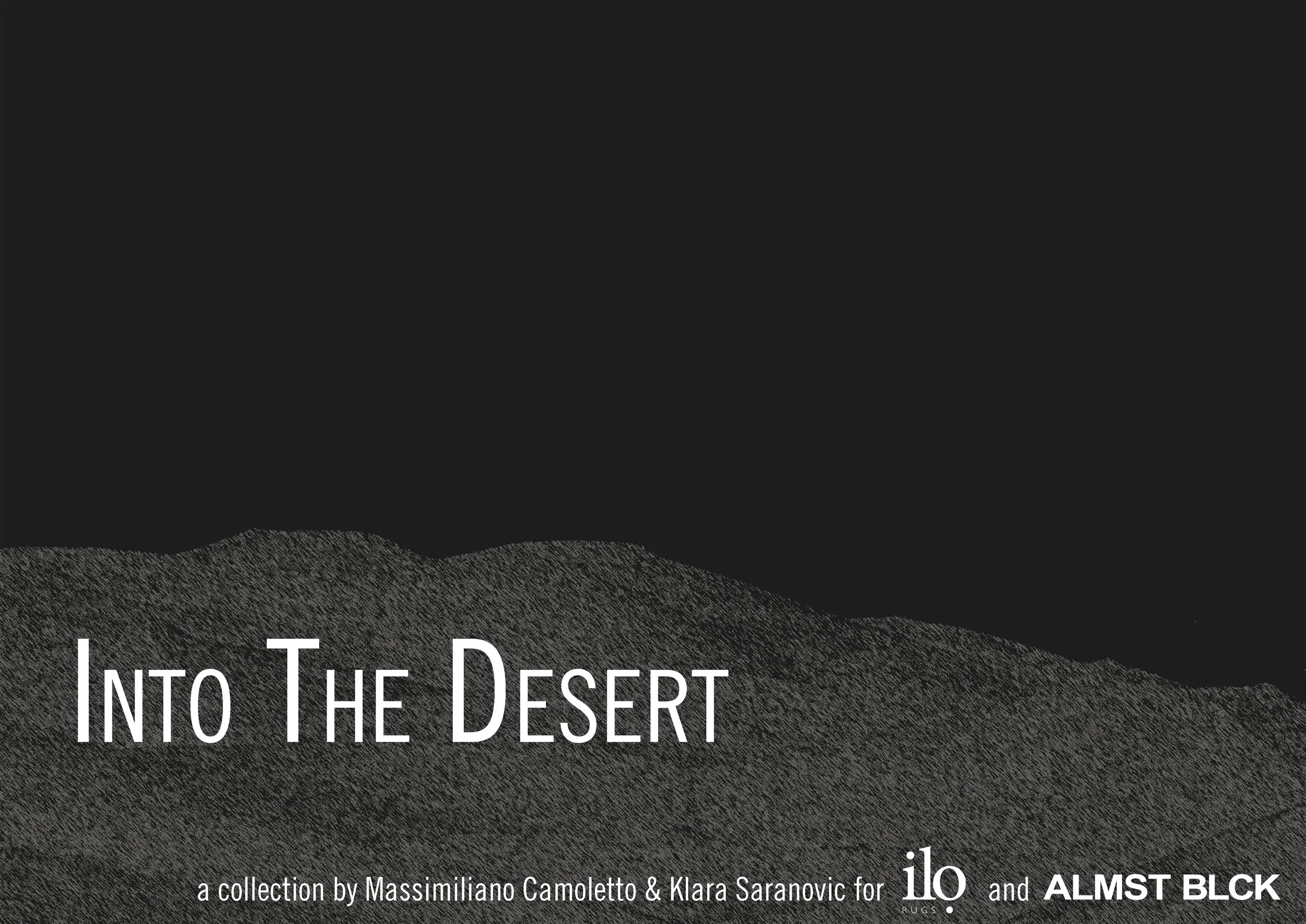 Into the Desert.jpg