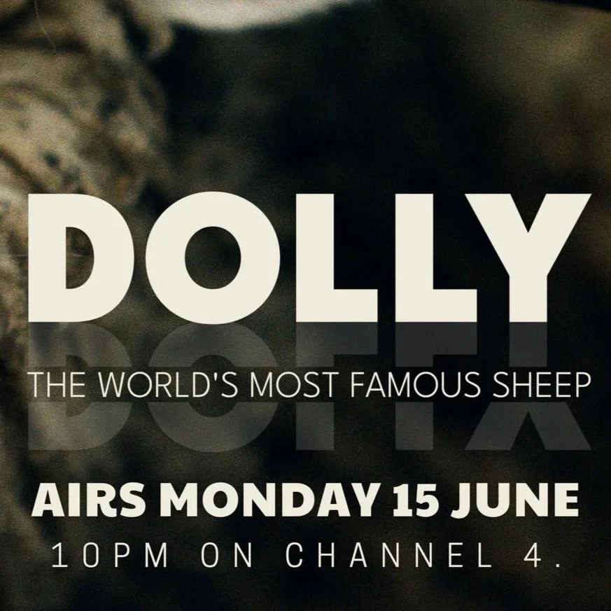Dolly: The World’s Most Famous Sheep
