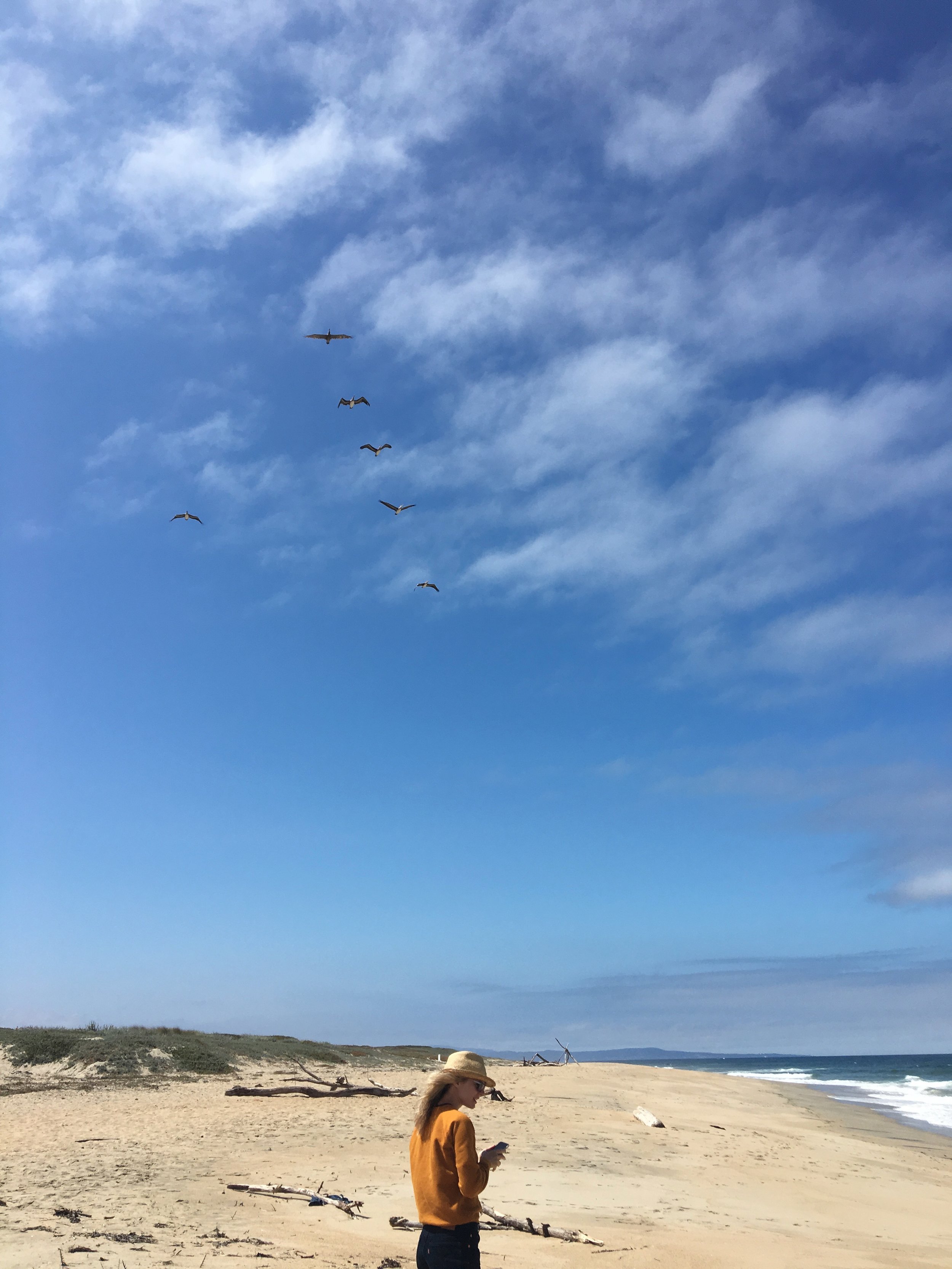 IMG_2657.jpeg