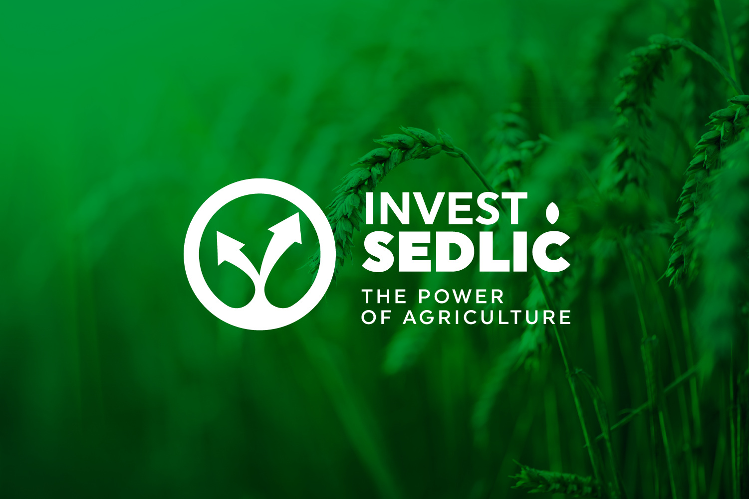  Visual identity for Invest Sedlic 