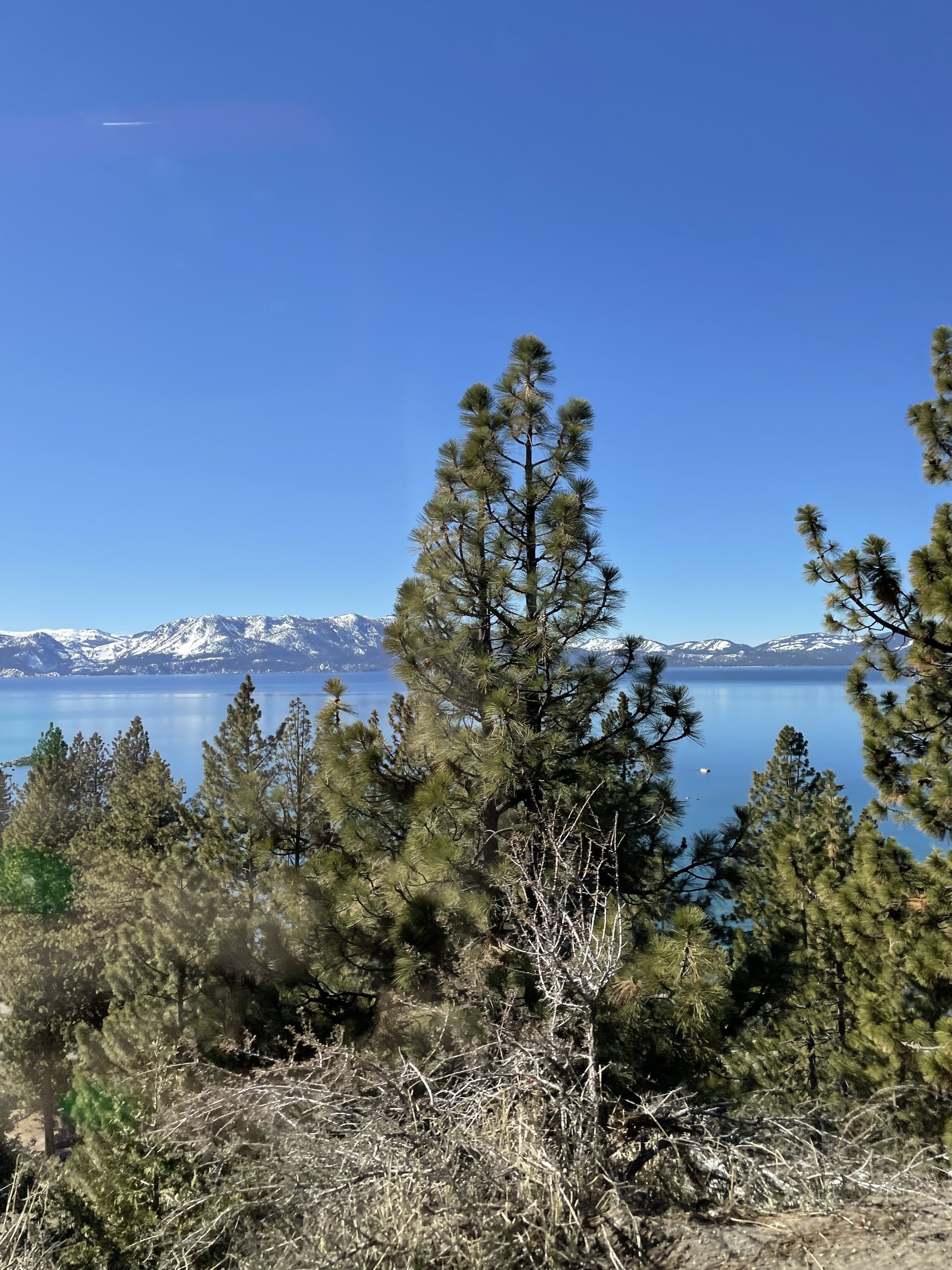 lake tahoe view.jpg