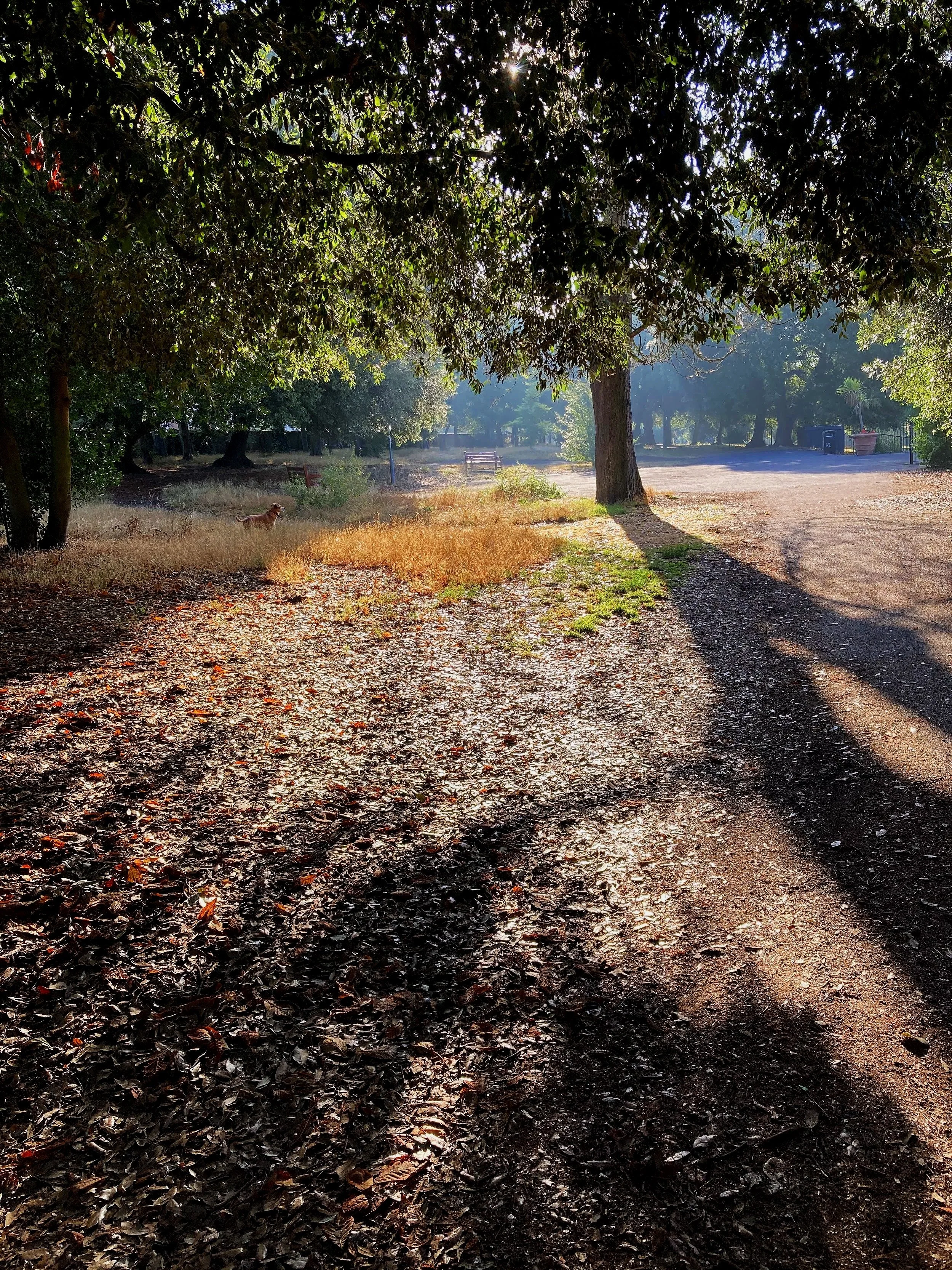 park