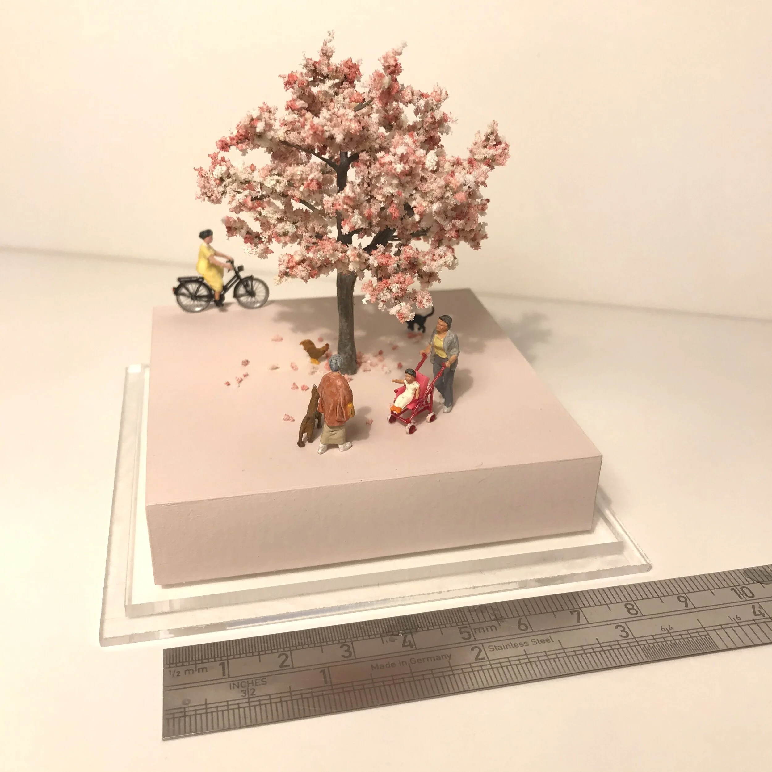 Hanami ... watching blossom