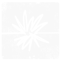 SparkWhiteTransparent.png