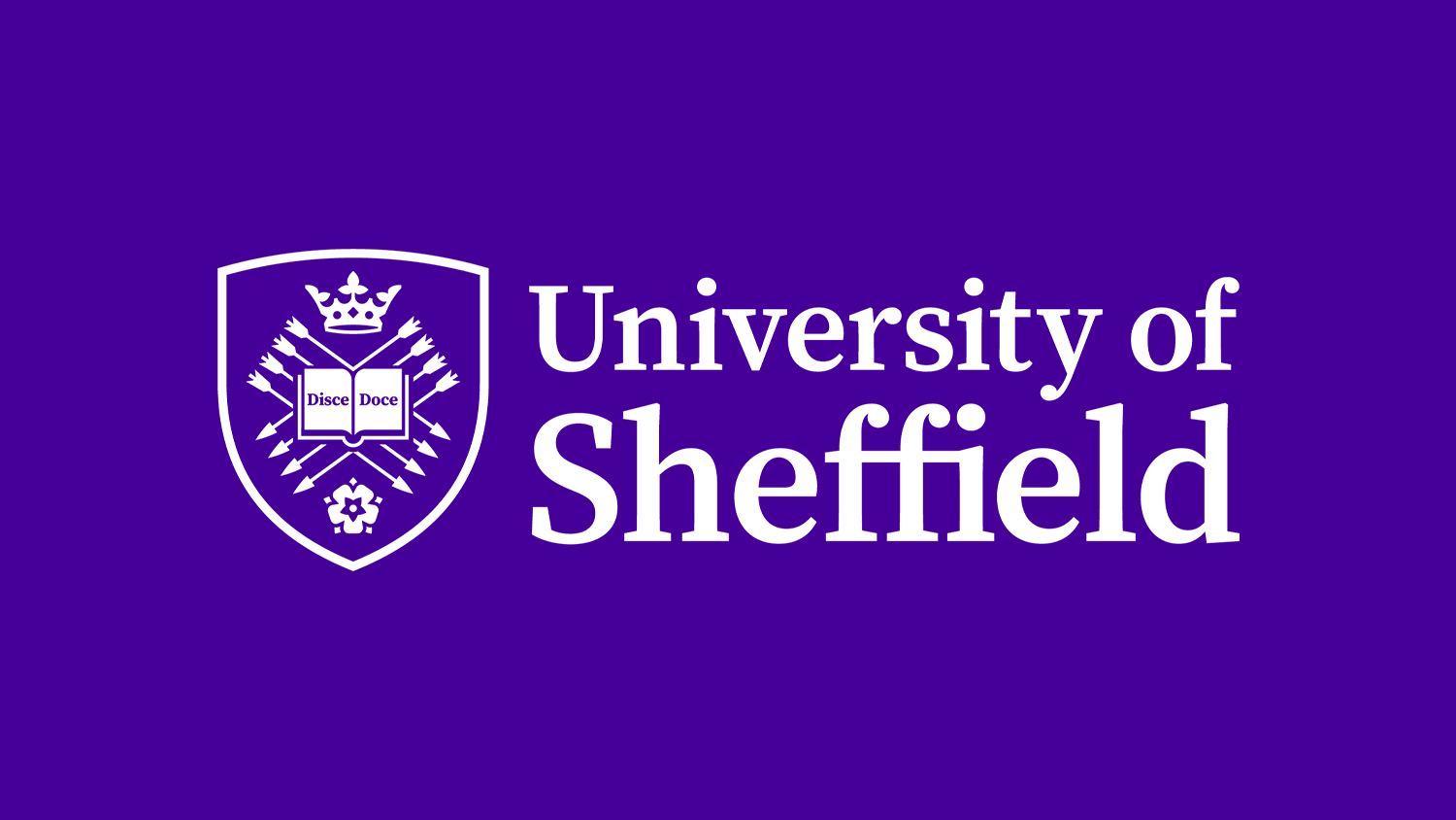 Brand Refresh by University of Sheffield
