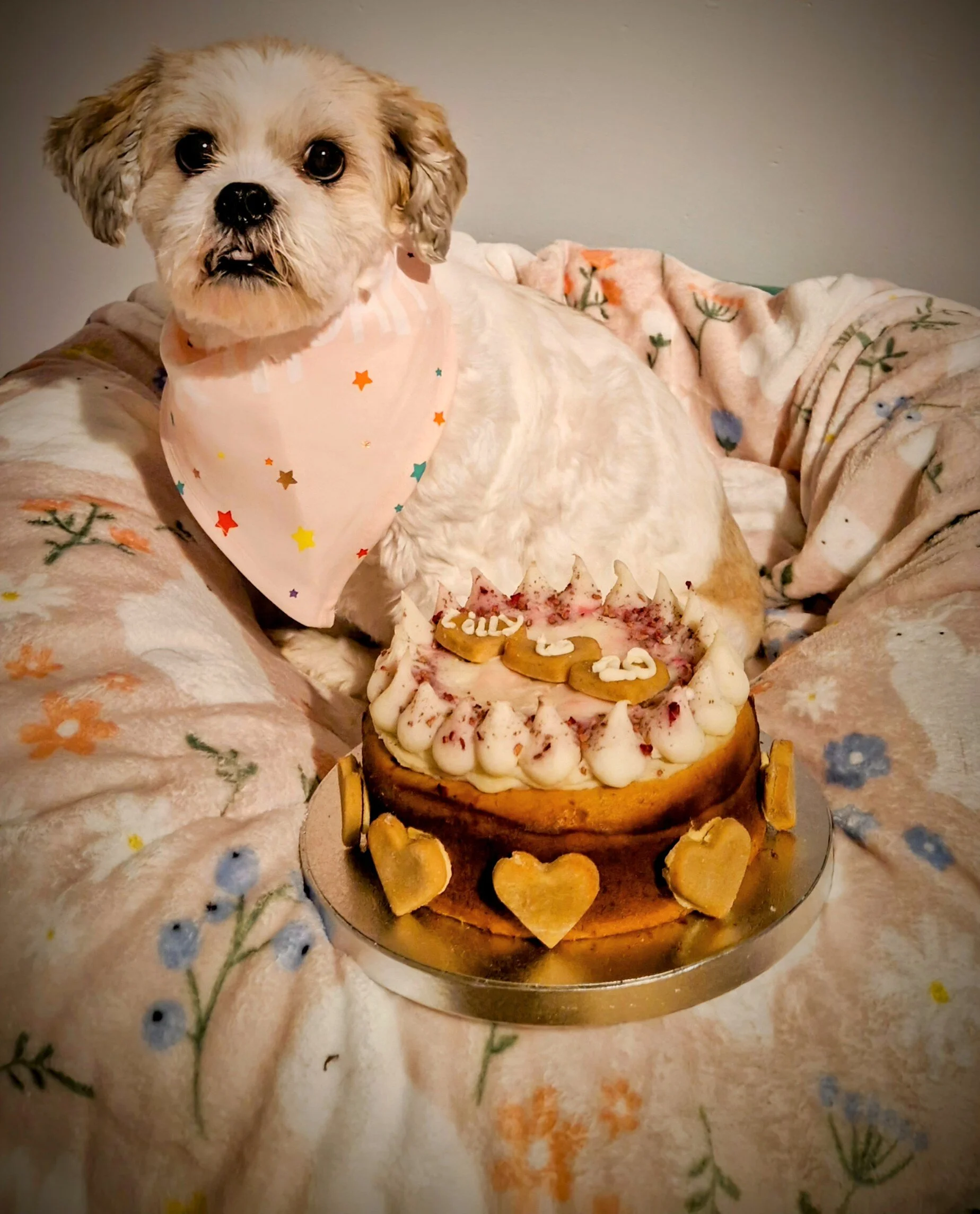 20250304_193556.heic~2.heif