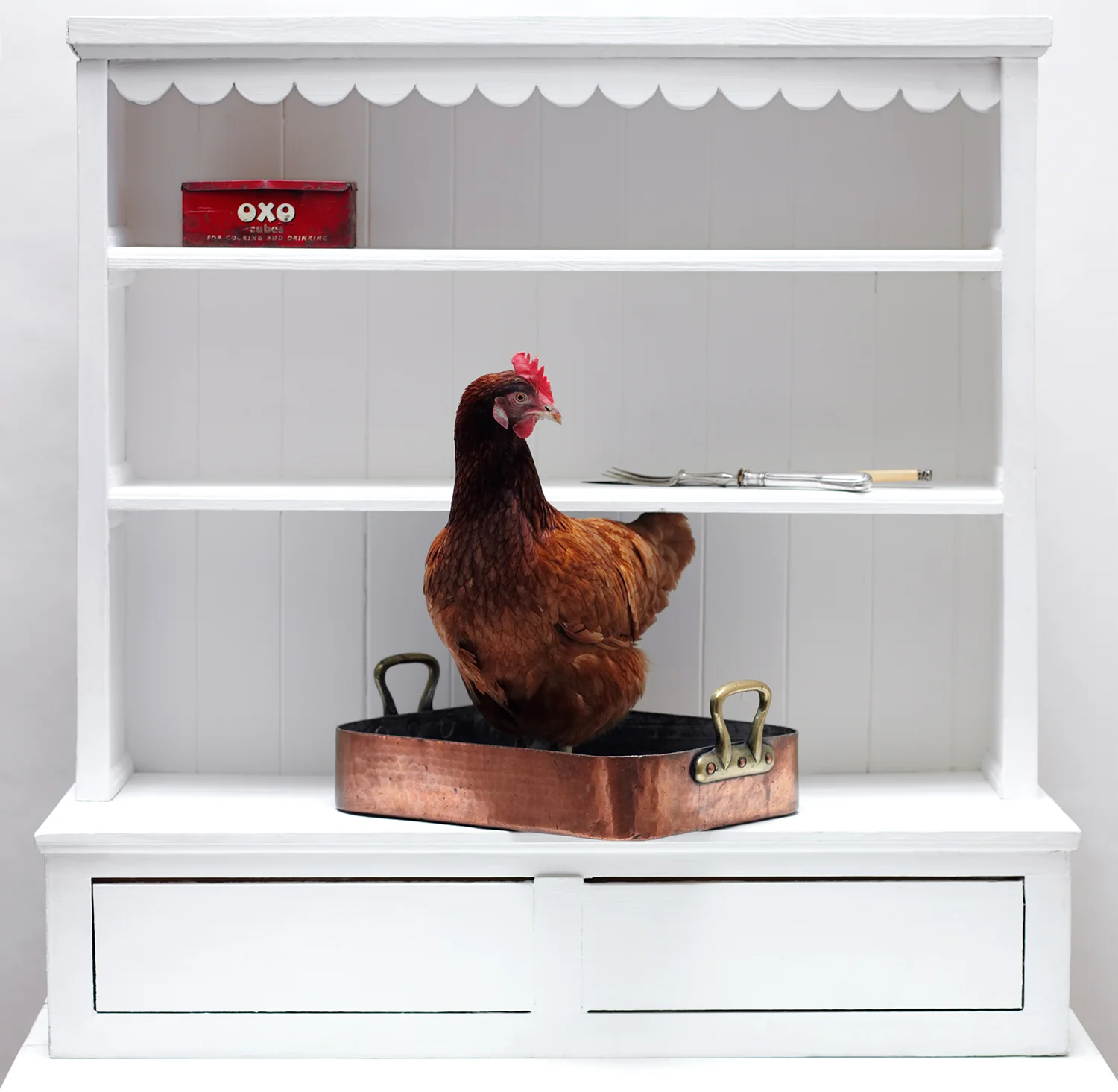 chicken