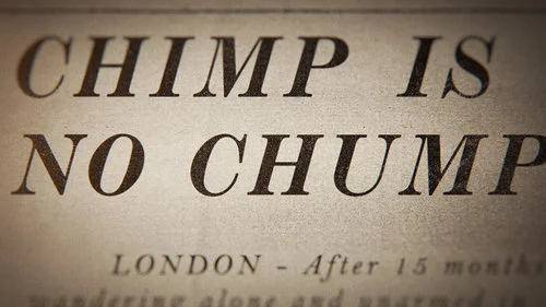 EXP_chimp.jpg