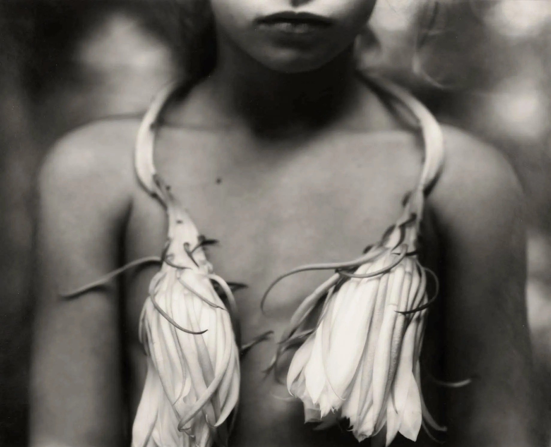 edwynnhoukgallery-sally-mann-night-blooming-cereus-1988-geconverteerd-van-webp.jpeg