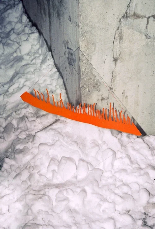 image-asset (2).webp