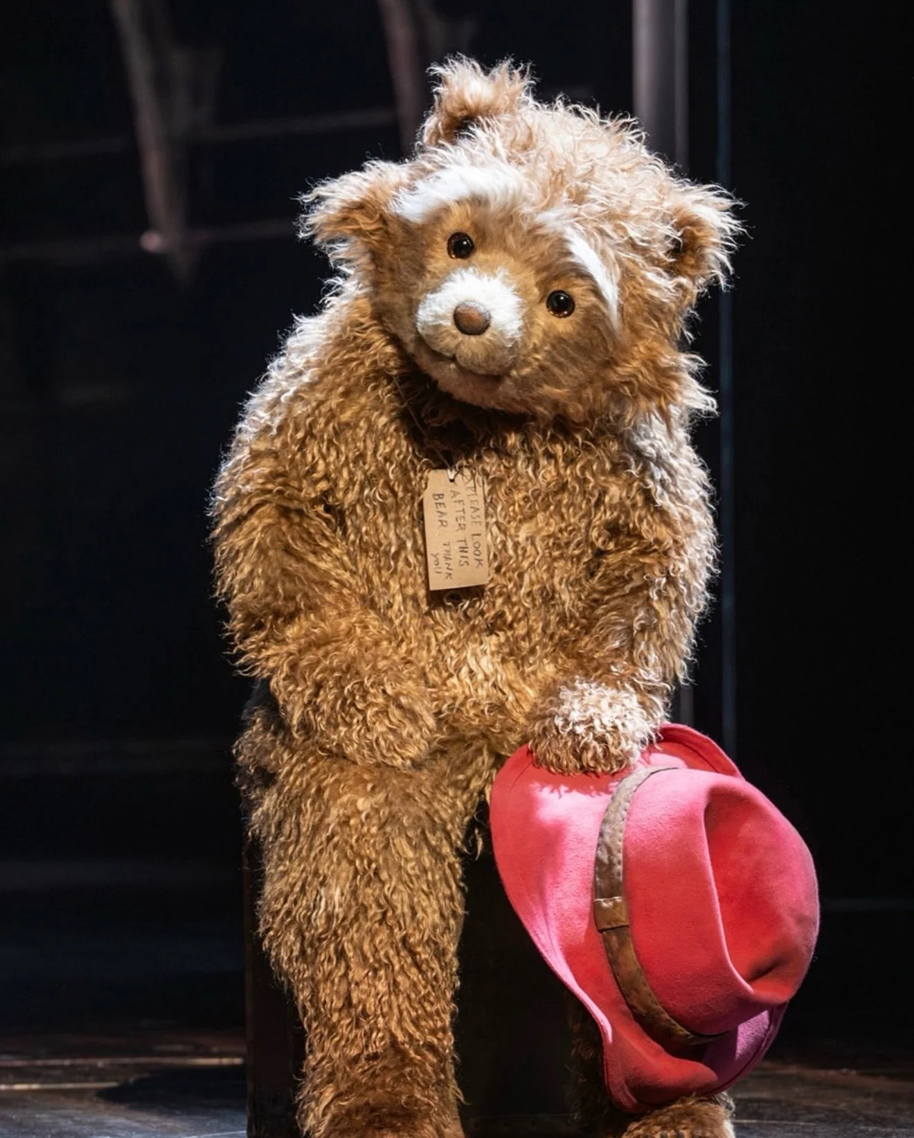 Still floating after last night&rsquo;s incredible #pressnight for @paddingtonthemusical &mdash; and I need a moment to celebrate the extraordinary work of @sjmercade and the entire costume team. 💛
This show is bursting with creativity, kindness, an