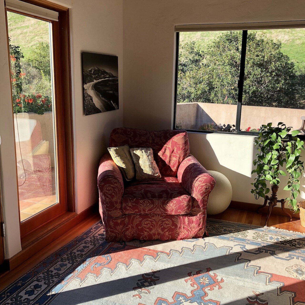 Notes From the Sofa