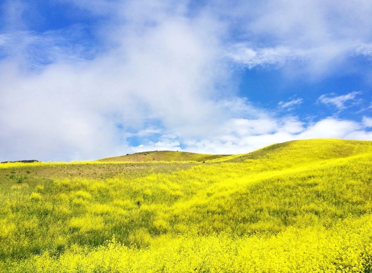 Just Rambling (I Know, It's the Worst Title Ever)