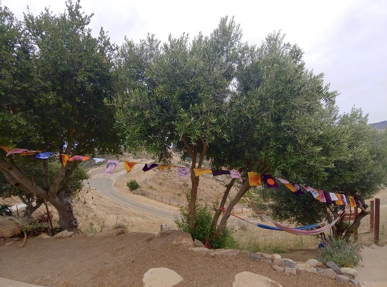 Prayer Flags