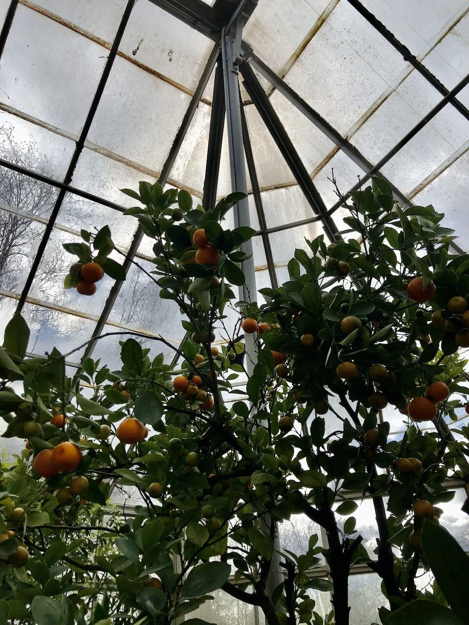 To The Botanic Gardens I Have&nbsp;Come