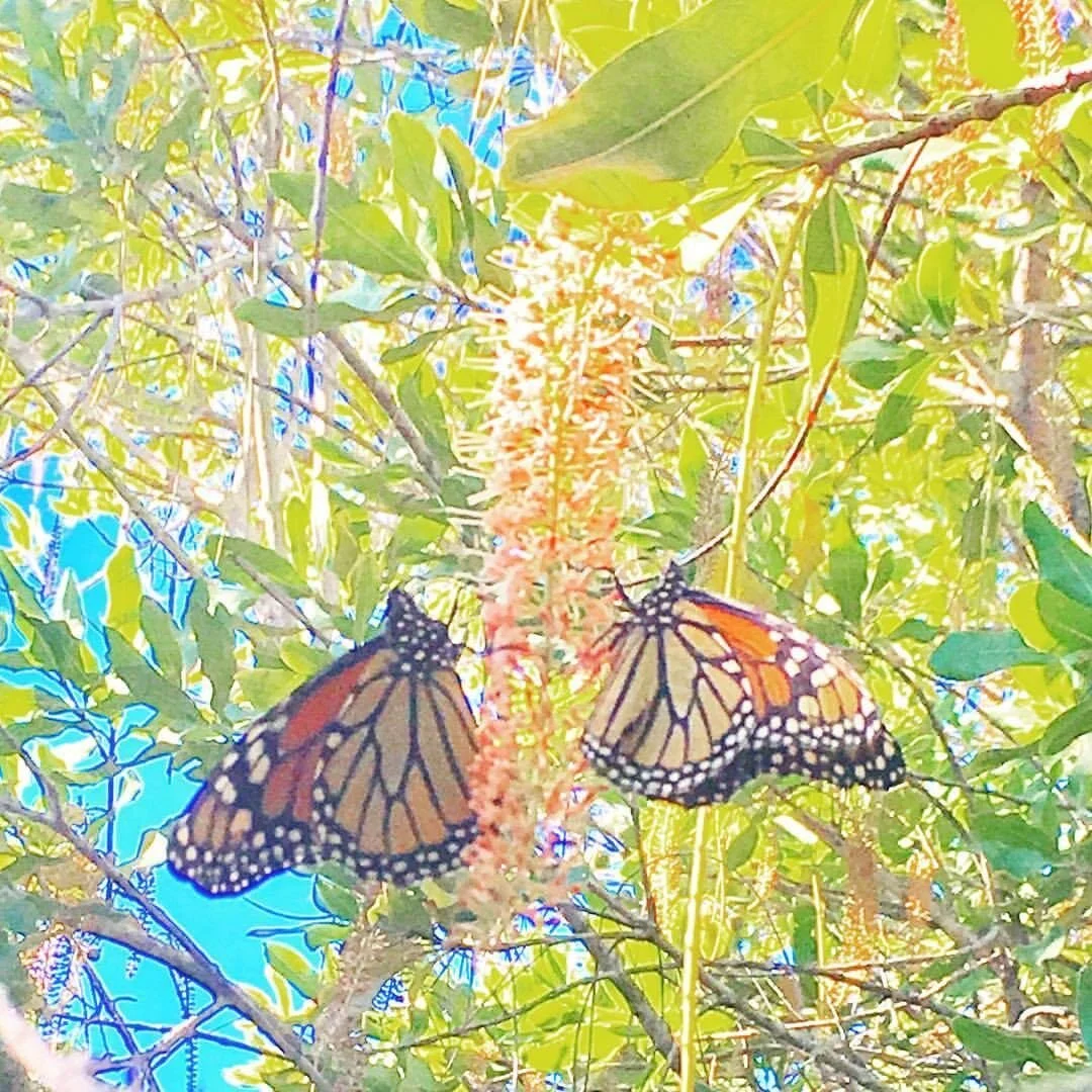 A Yes-I'm-Still-Alive Post