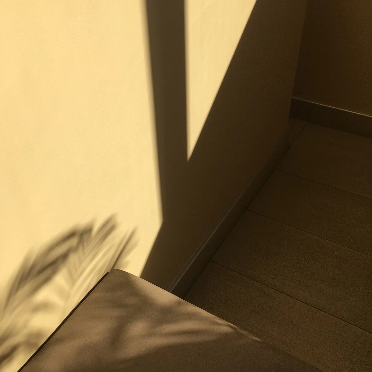 Maybe It’s the Light, or Lack&nbsp;of&nbsp;Sleep…