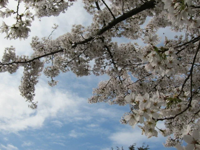 Saturday's Poem: What Isn't Mine