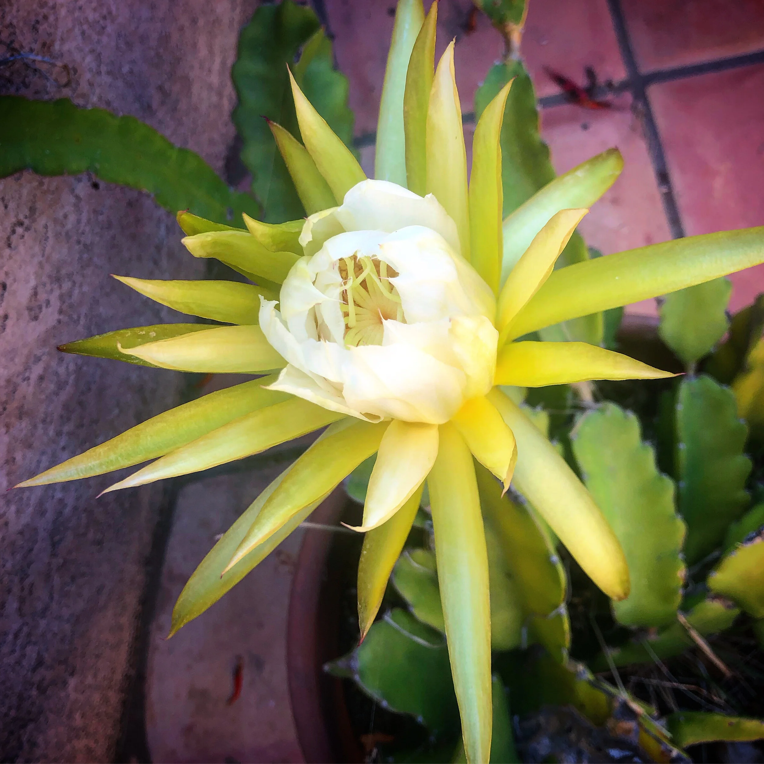 Hold Fast, Dear Ones