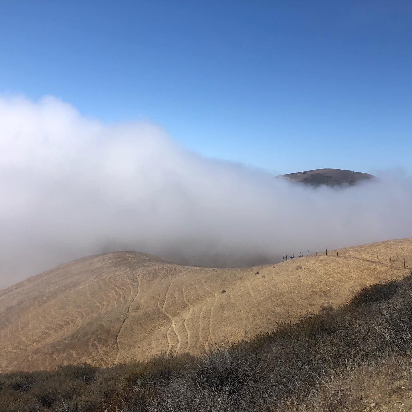 a walk adorned by swirls of fog