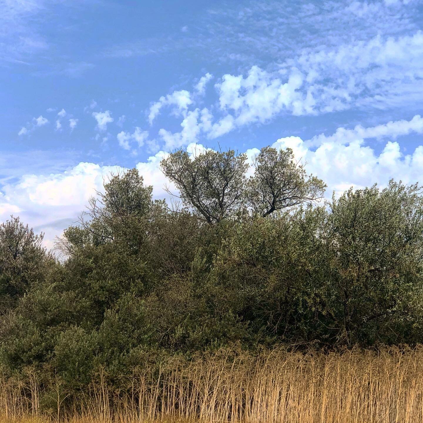 The shy return of clouds.