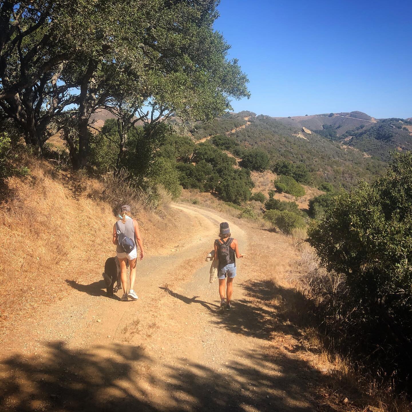 A hike with friends...foolproof remedy for the blues. We&rsquo;re fortified now.