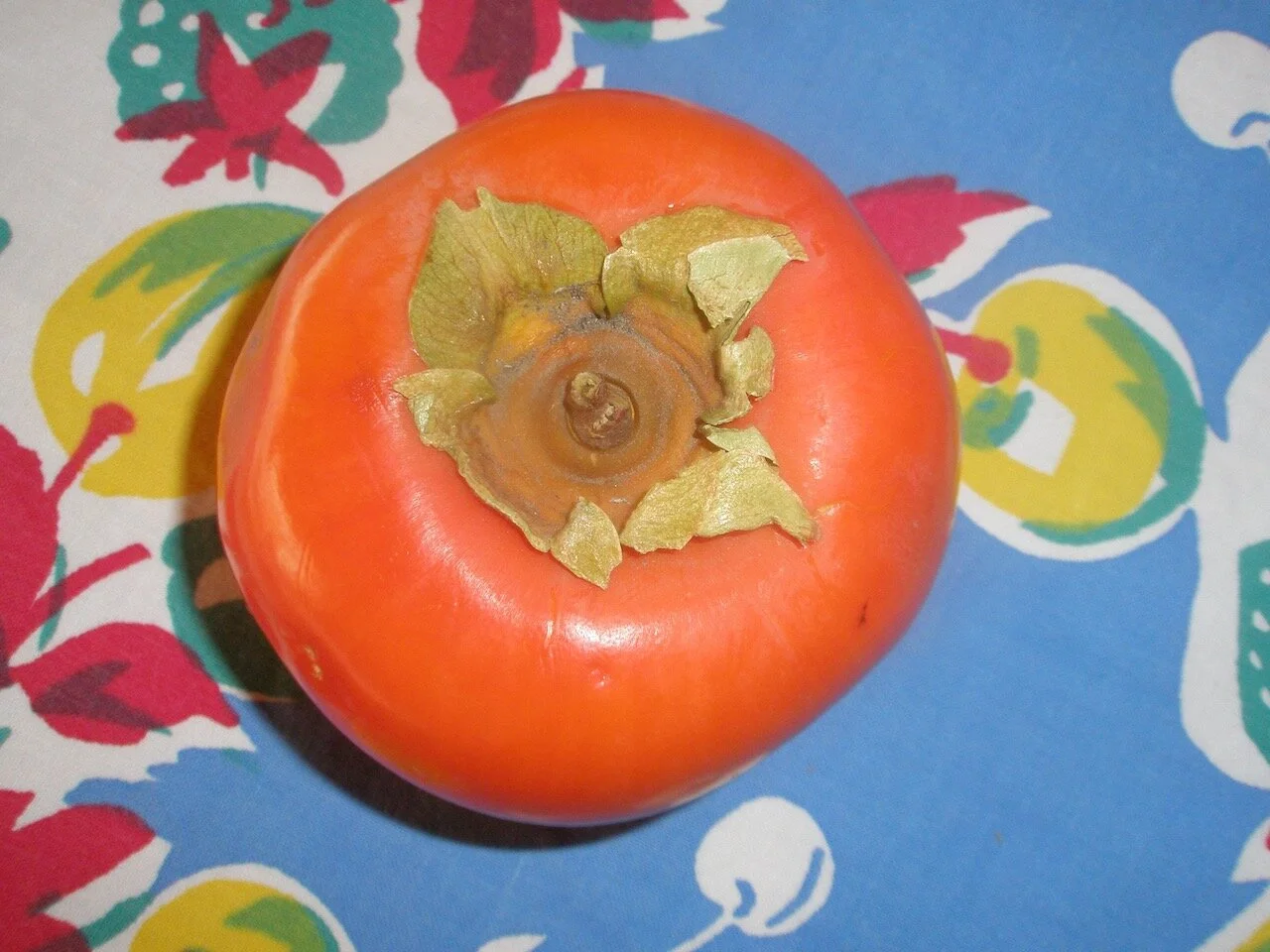 The Best Parts of Today: (In Which the Persimmon Achieves a Kind of Immortality)
