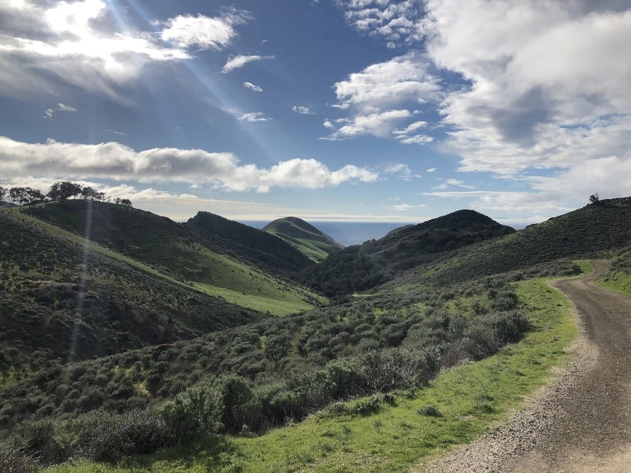 Saturday's Poem: Little Rooms