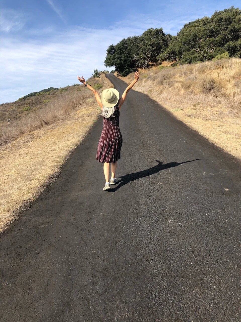 I Wish I Could Show You