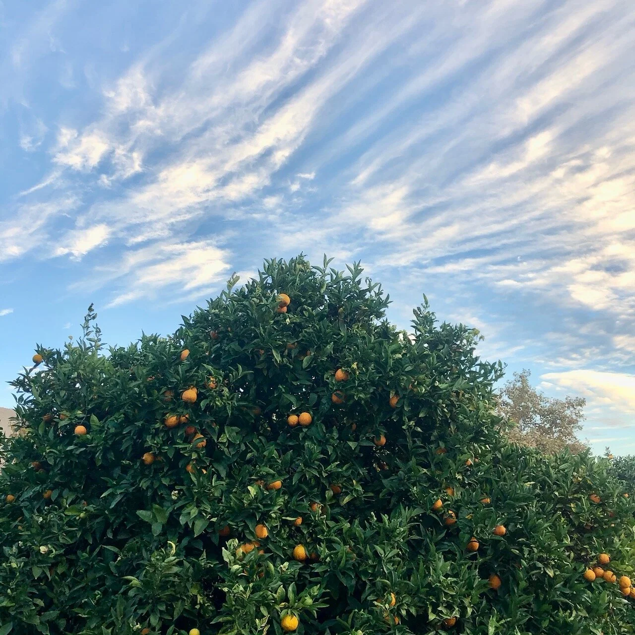 Trying to Remember A Path