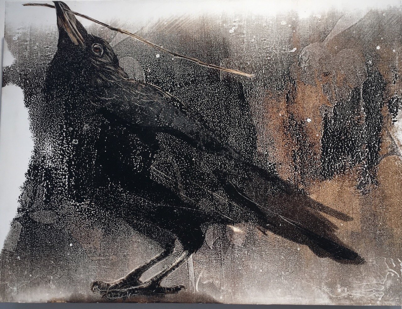 Raving With The Ravens