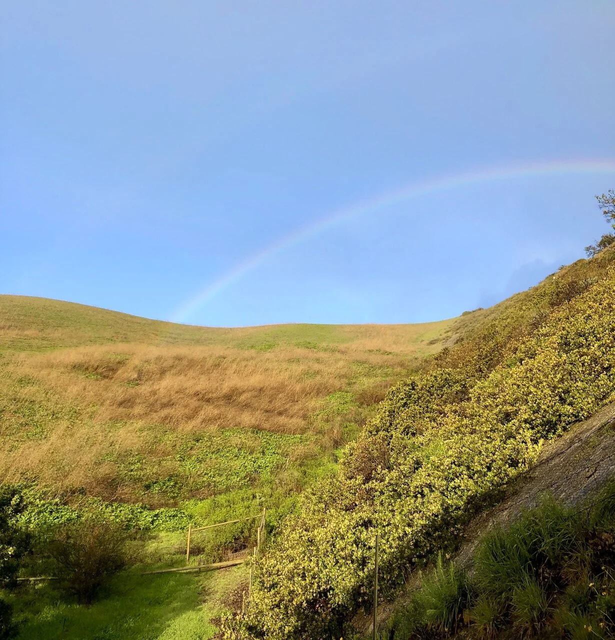Through&nbsp;A&nbsp;Rainbow
