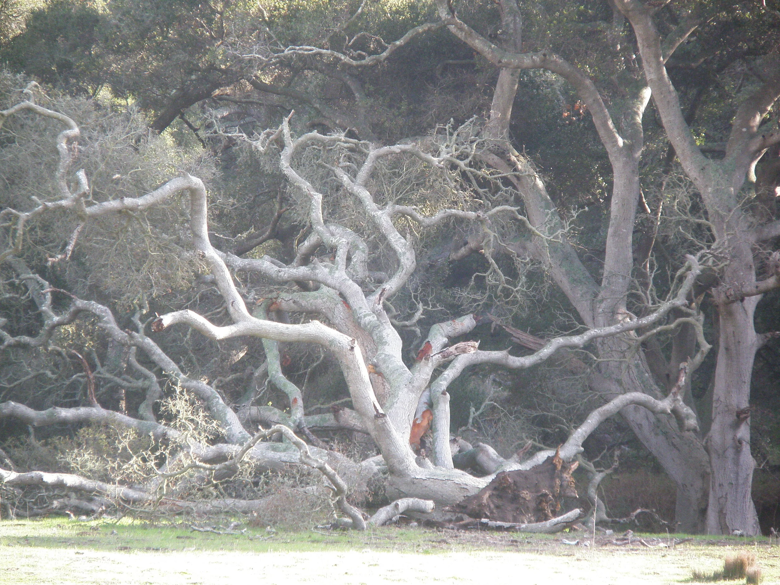 What We Need Is Here