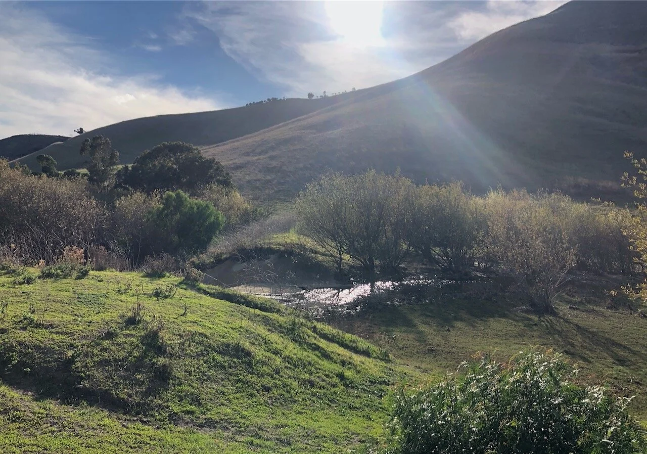 Inosculation and Inoculation