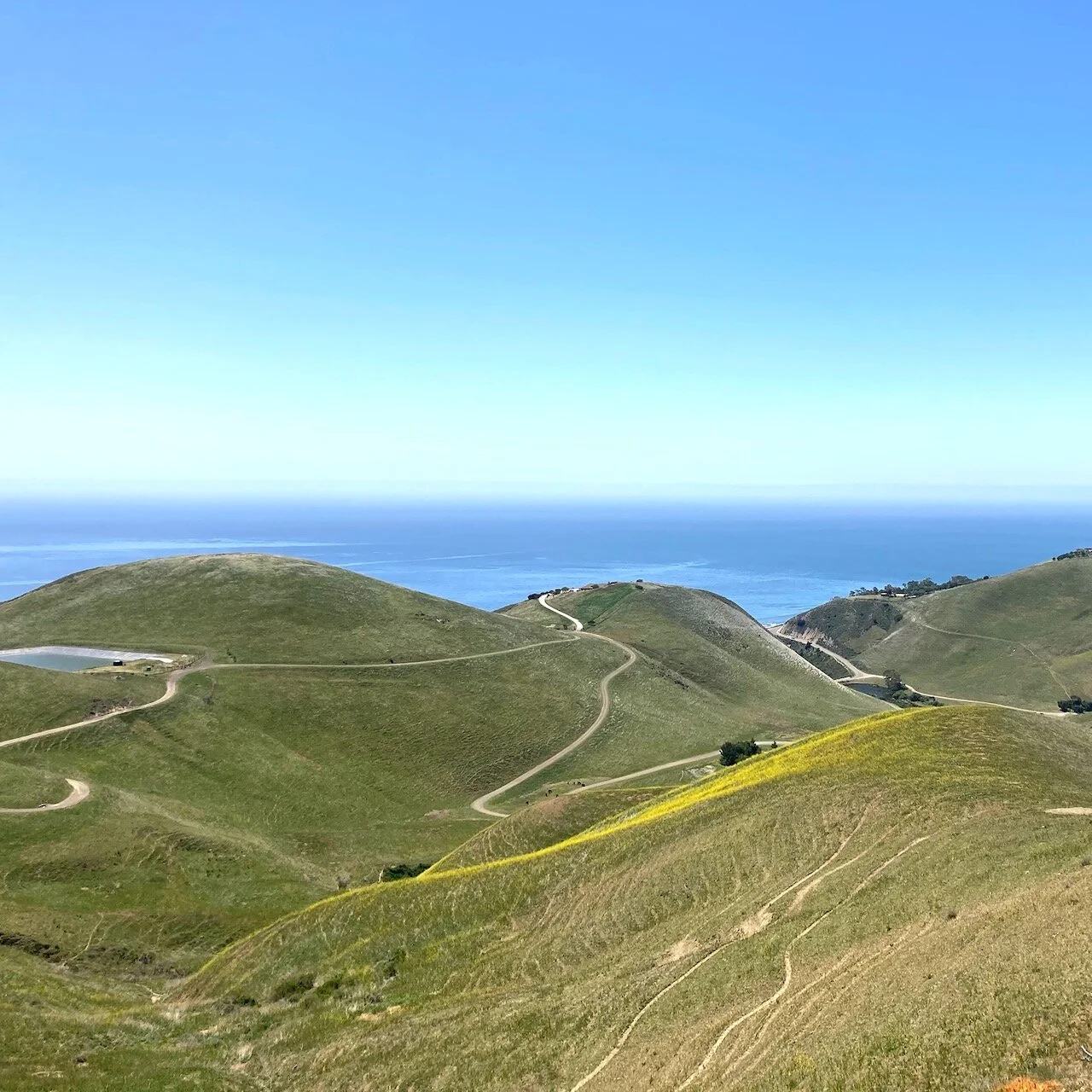 Saturday’s Poem: Talk About&nbsp;Walking