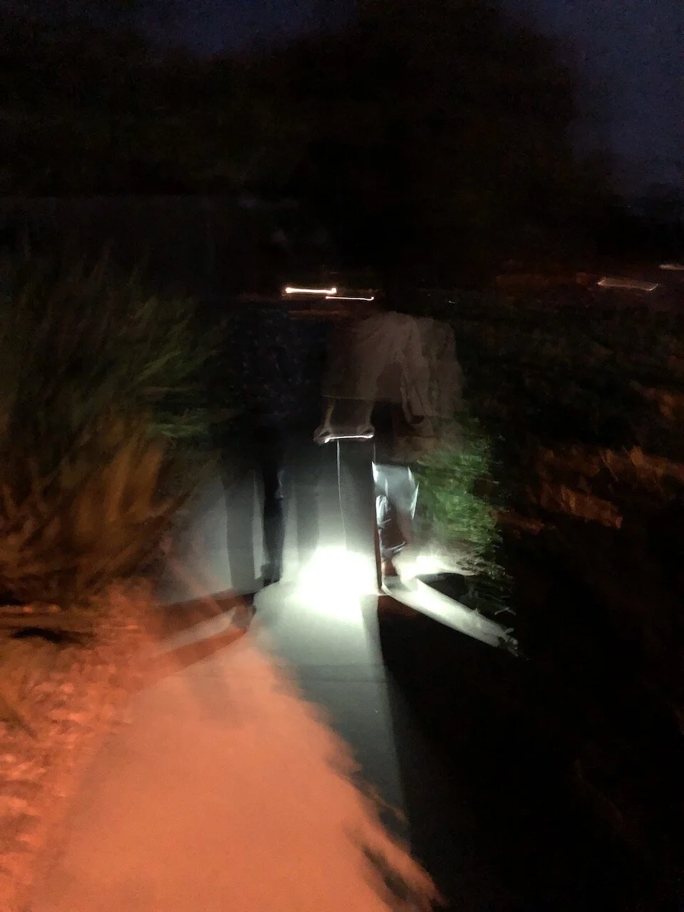 Just Walking to the Neighbors' House