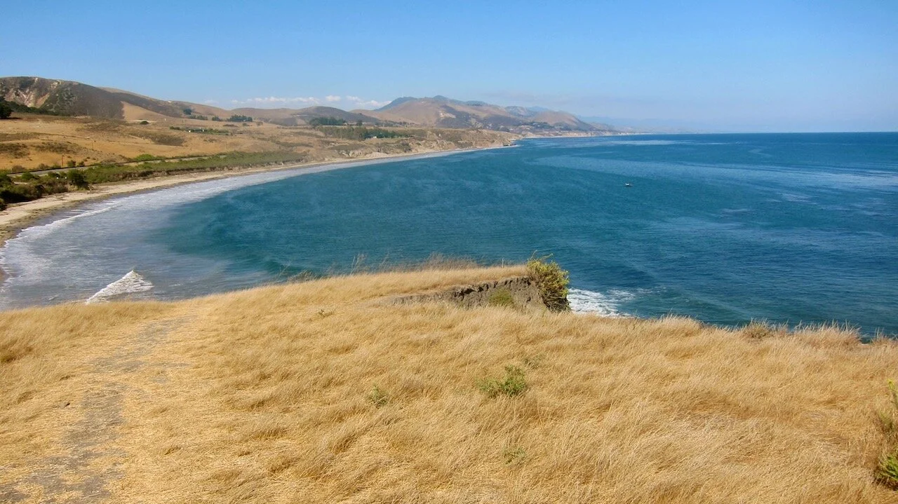 Sometimes You Let the Day Take You Where It Will