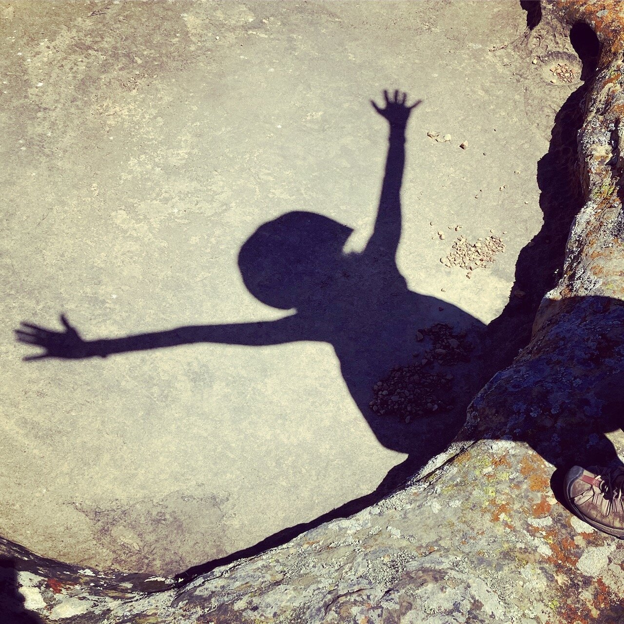 Hearts &amp; Flowers