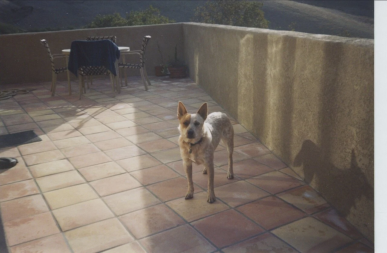 When the House Felt Suddenly Singular and&nbsp;Still