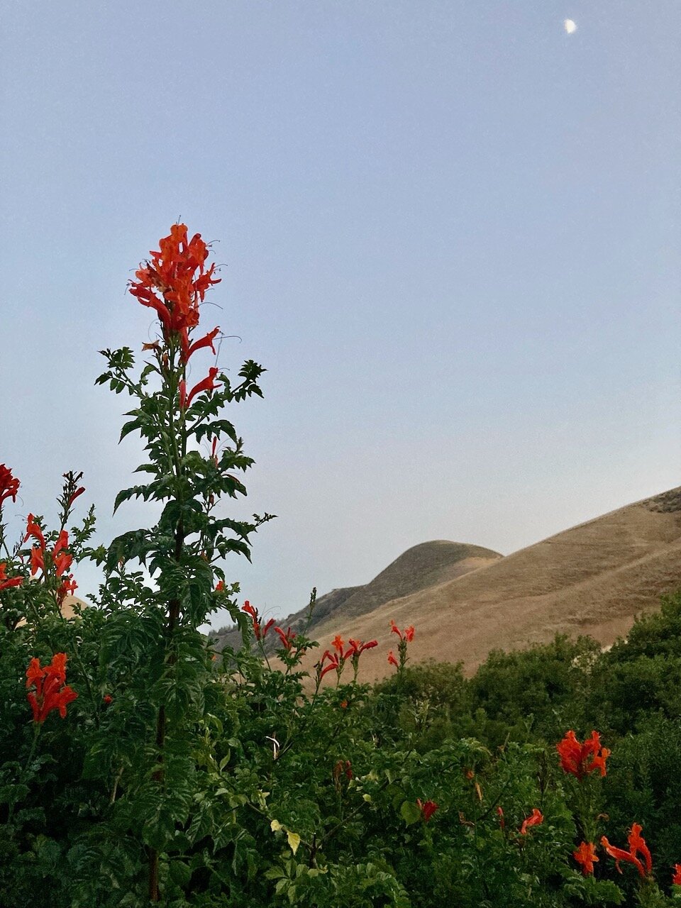 Optimism in a Time of Doom