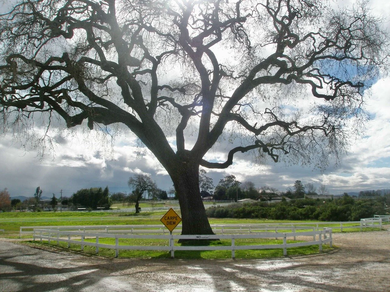 Does Yesterday Count As A Day?