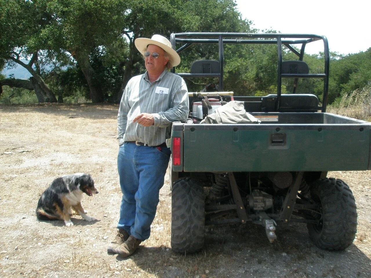 Saturday's Poem: Heifer Calving