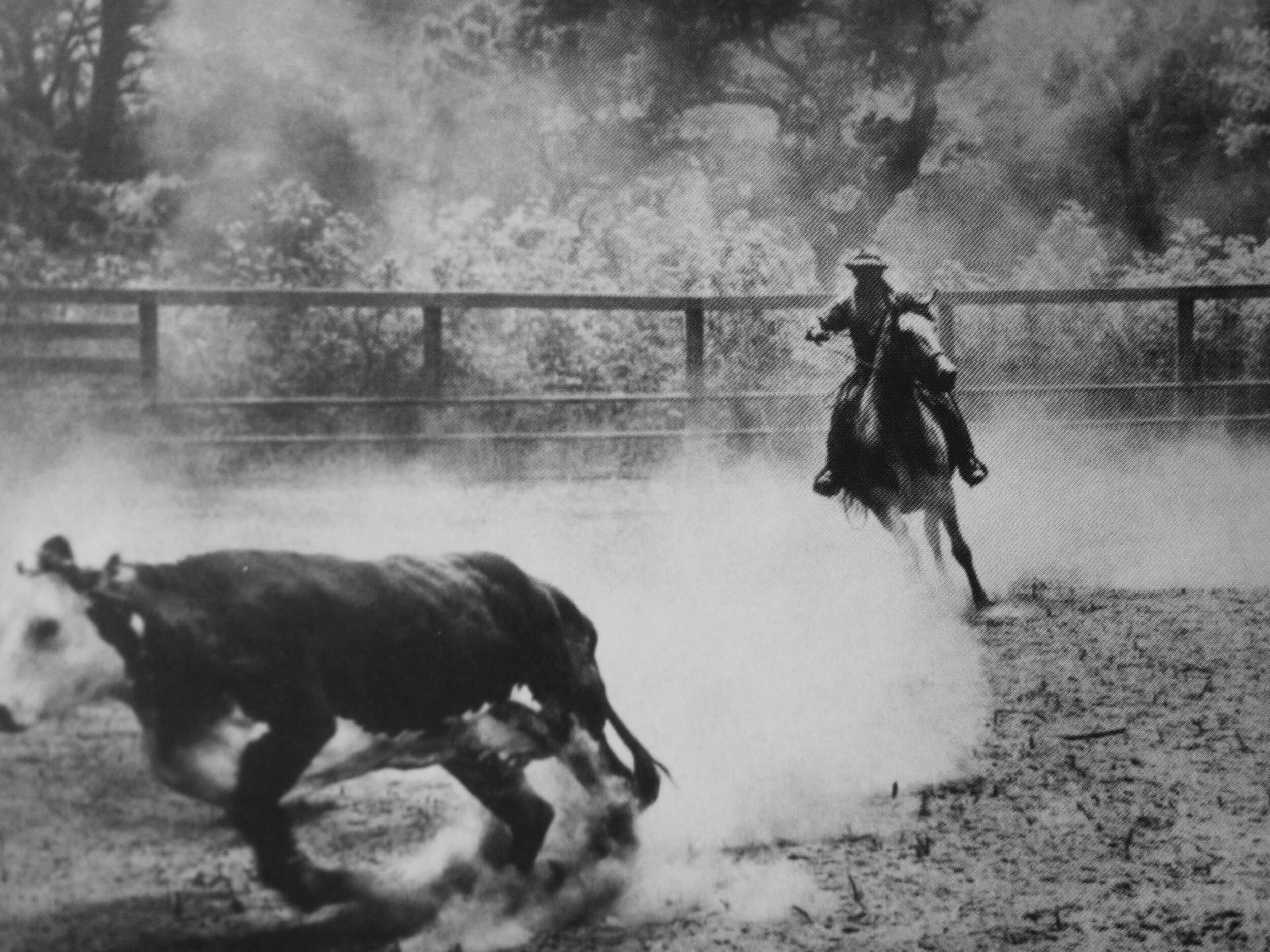 Give ‘Em Some Heat