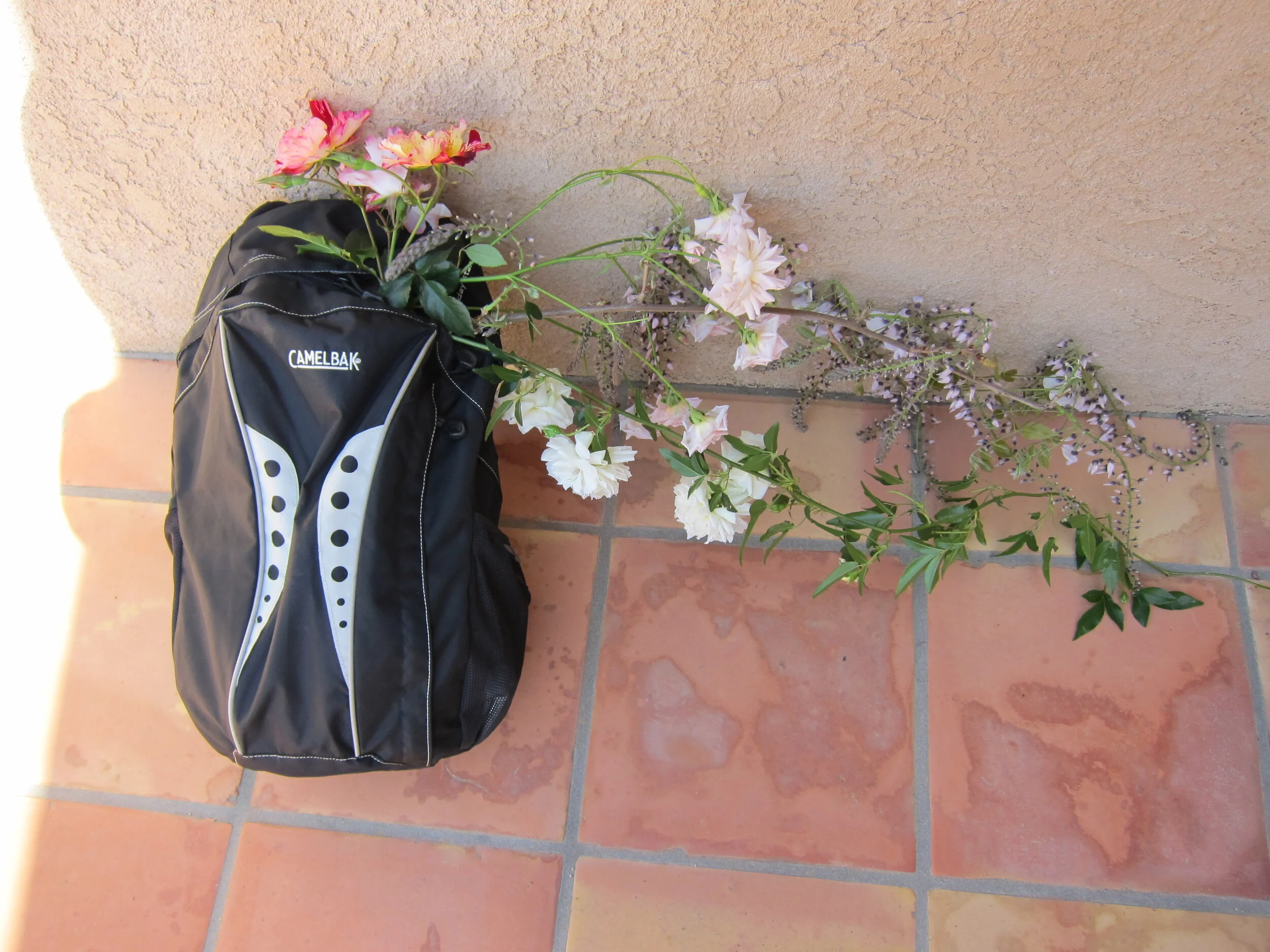 I Really Mean It.&nbsp;You’ll&nbsp;See.