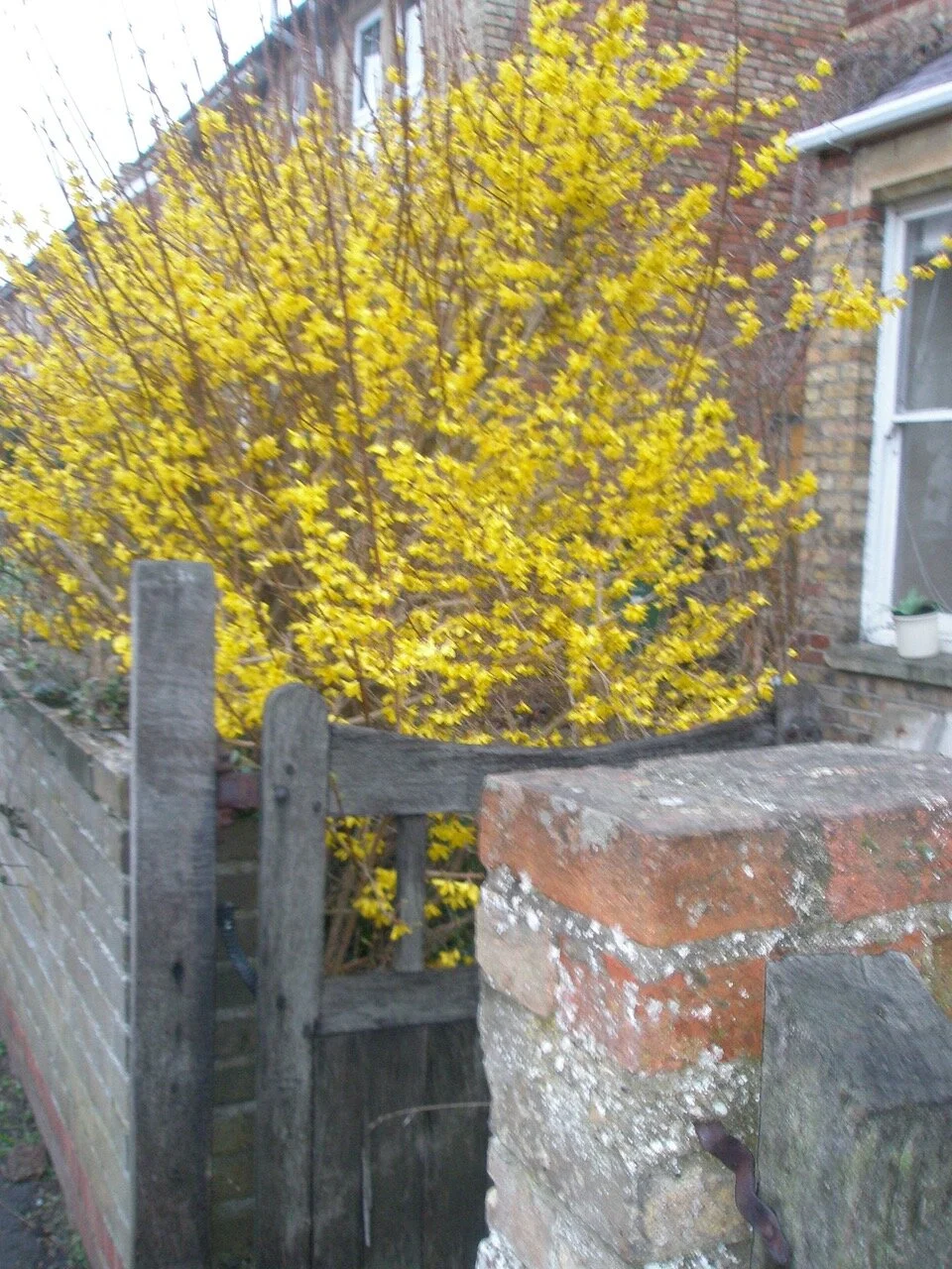 Scanning Old&nbsp;Photographs