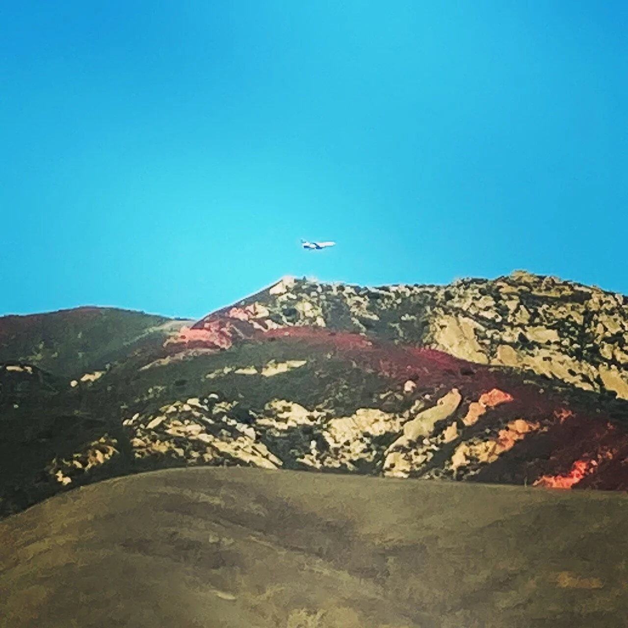 So Many Selves, So Many Sensuous Worlds