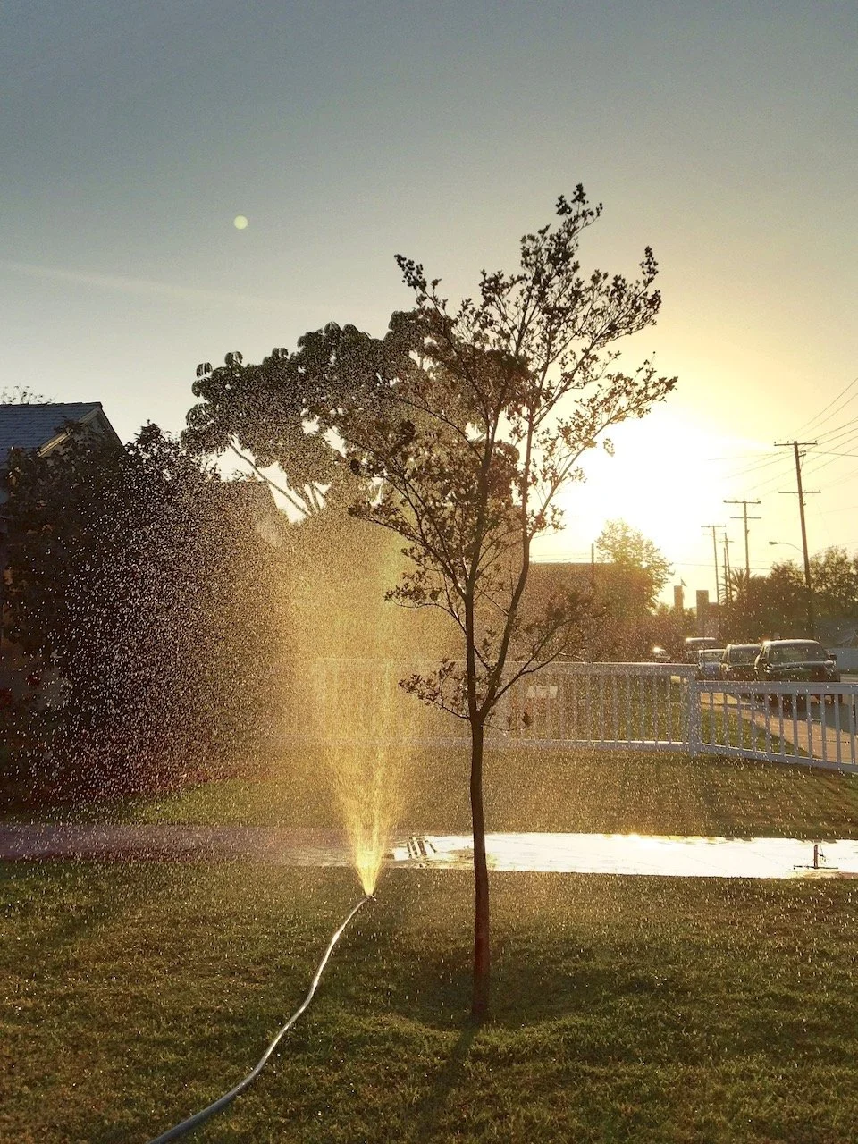 A Few Things I Love About My Life, Even Just Right Now, and I’m in O.C.,&nbsp;No&nbsp;Less