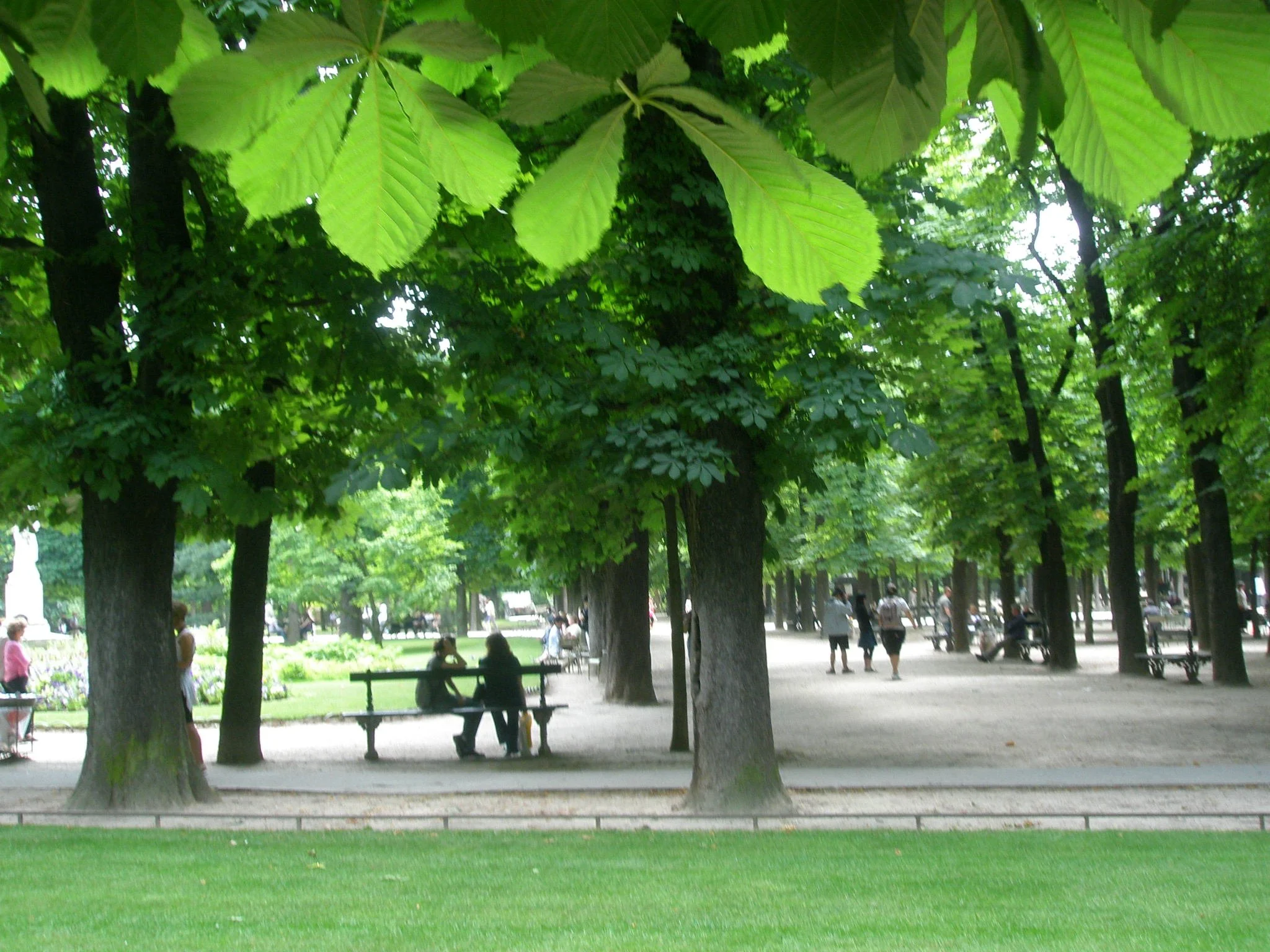 Saturday’s Poem: In Paris With&nbsp;You