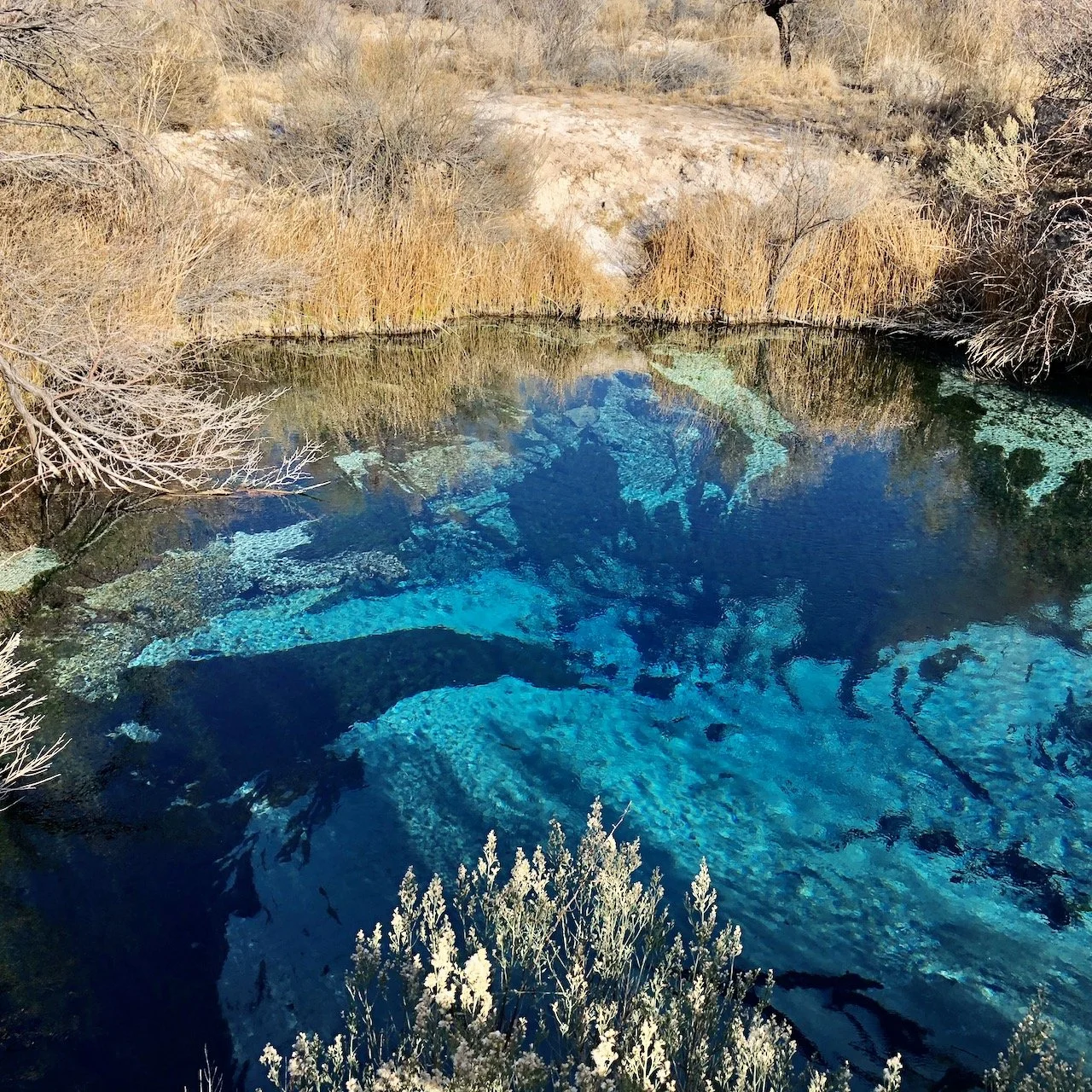 When We No Longer Know Which Way To Go